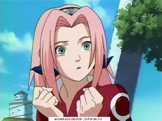 sakura